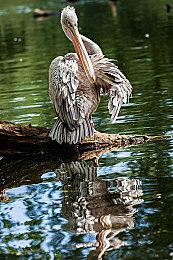 《破坏领主》将于9月关闭多人游戏和停止未来开发